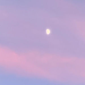 Meet your Posher, Abdul